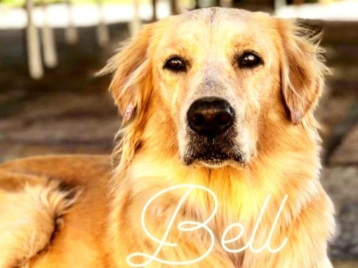 Pousada Da Bell باريرينهاس المظهر الخارجي الصورة